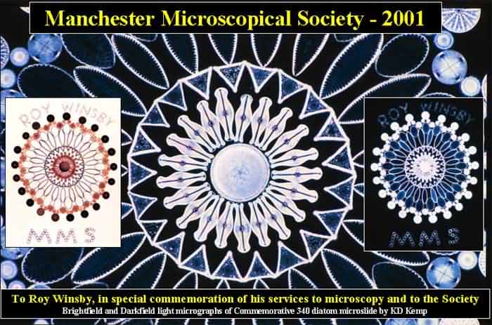 Roy Winsby
                                                      Diatoms